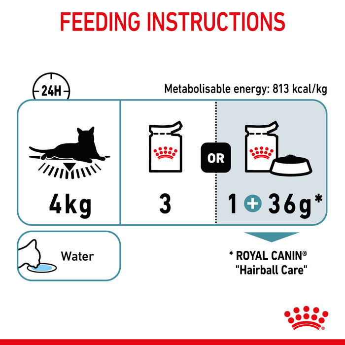 ROYAL CANIN® Hairball Care Jelly Adult Wet Cat Food Pouches 85gx12