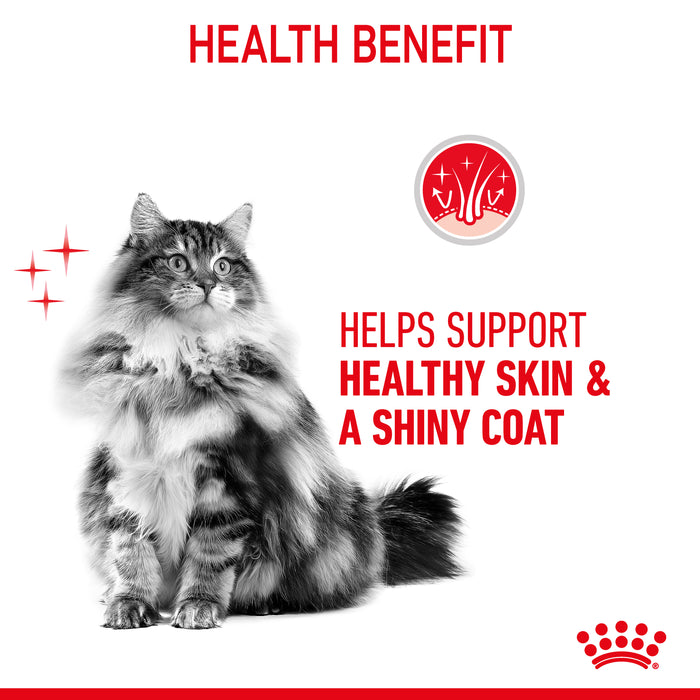 ROYAL CANIN® Hair & Skin Gravy Adult Wet Cat Food Pouches 12x85g