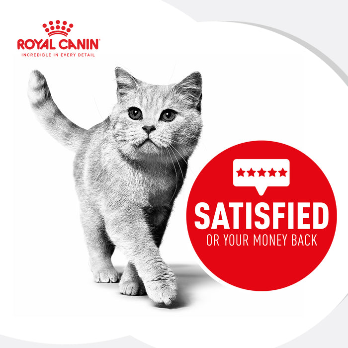 ROYAL CANIN® Indoor 7+ Gravy Adult Mature Wet Cat Food Pouches 12 x 85g