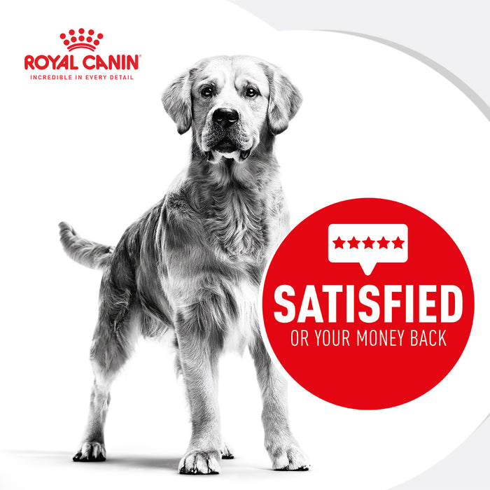 ROYAL CANIN® Maxi Adult Wet Dog Food Pouches 10 x  140g