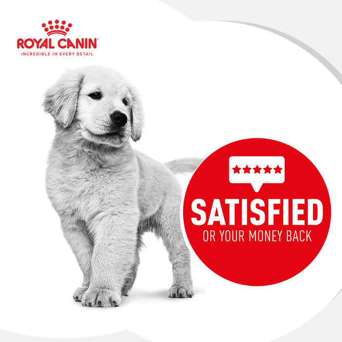 ROYAL CANIN Golden Retriever Breed Puppy Dry Dog Food 12kg Pet