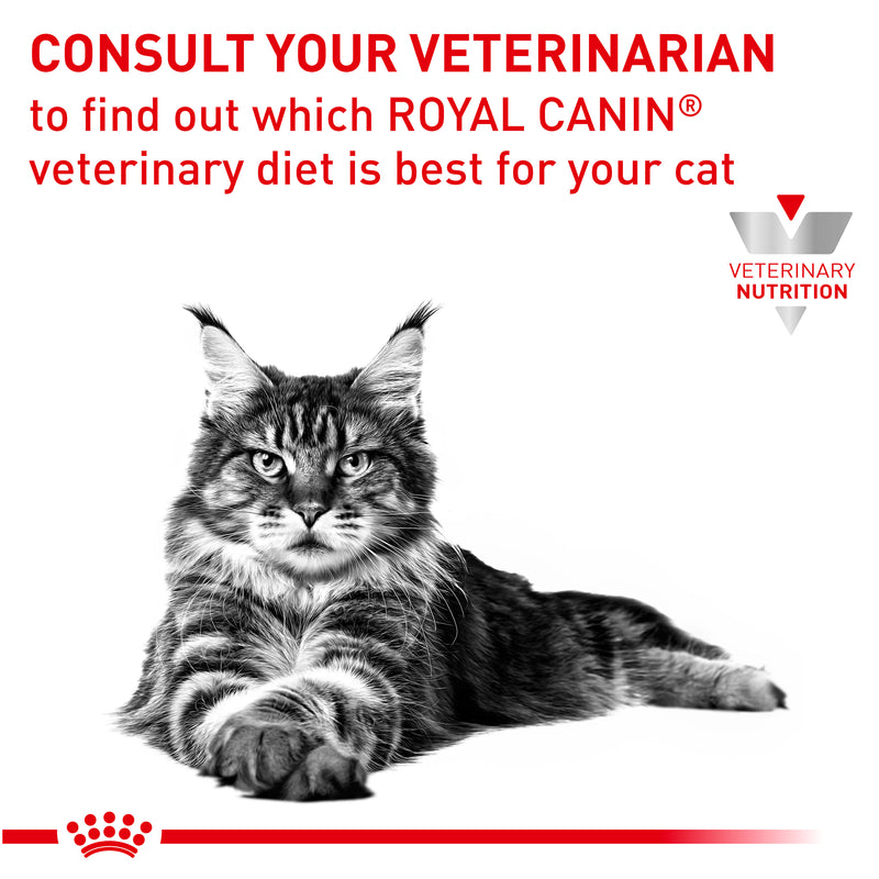 ROYAL CANIN® VETERINARY DIET Renal Adult Dry Cat Food 2kg