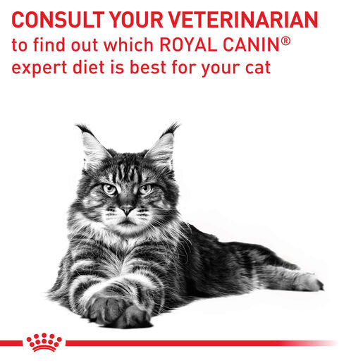 ROYAL CANIN® VETERINARY DIET Dental Adult Dry Cat Food