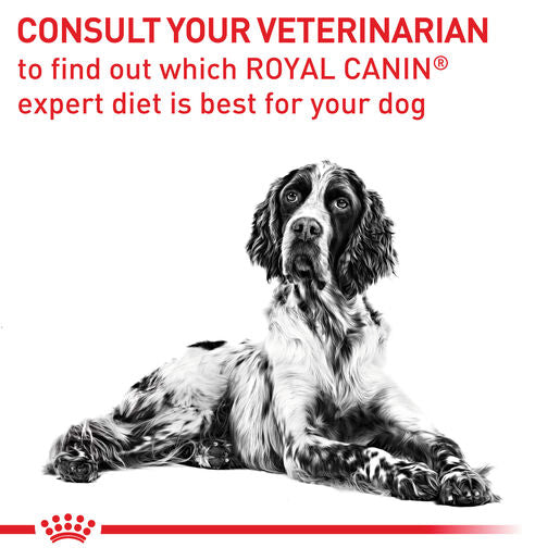 ROYAL CANIN® VETERINARY DIET Dental Adult Dry Dog Food 6kg
