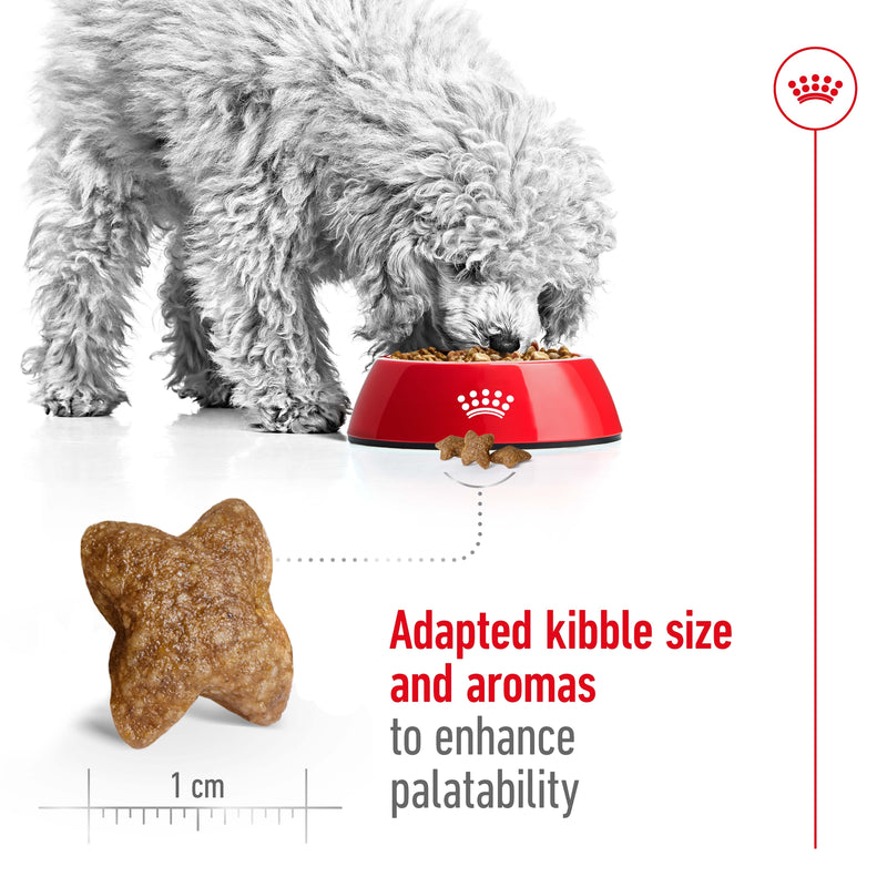 ROYAL CANIN® Mini Adult Dry Dog Food