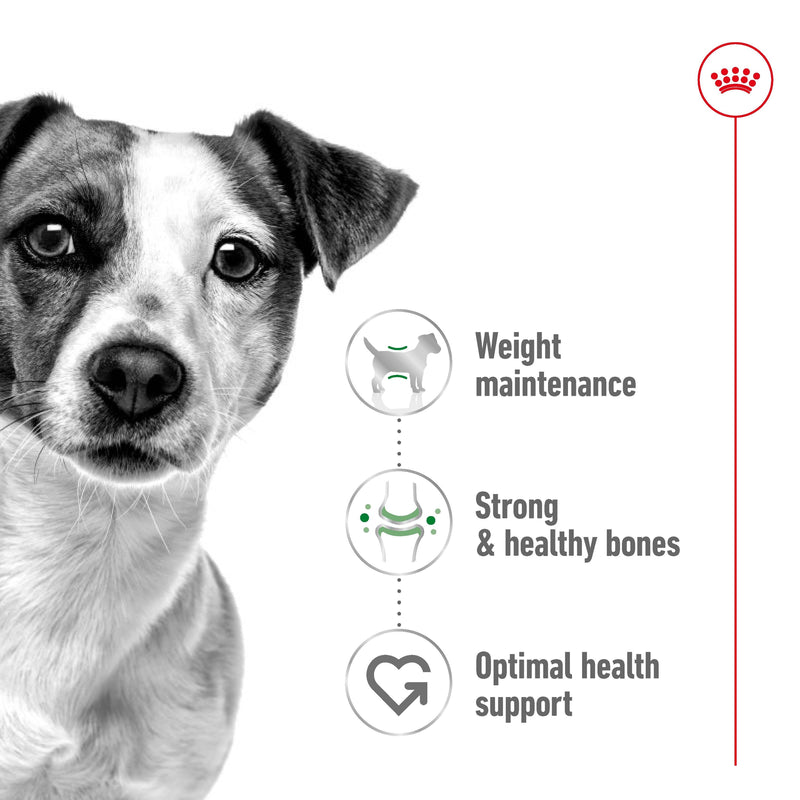 ROYAL CANIN® Mini Adult Dry Dog Food