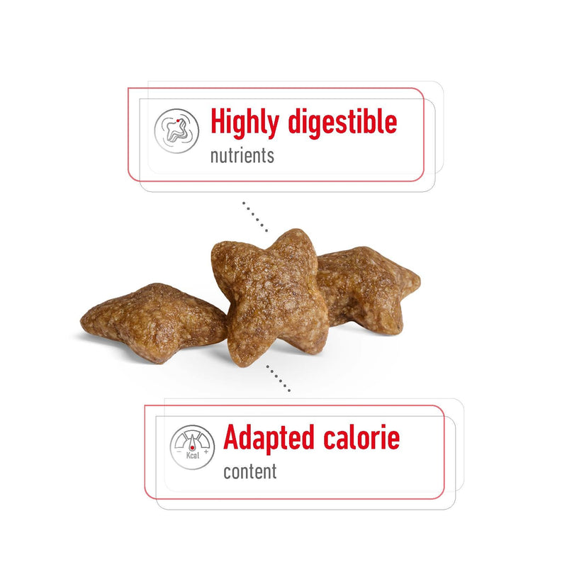 ROYAL CANIN® Mini Adult Dry Dog Food