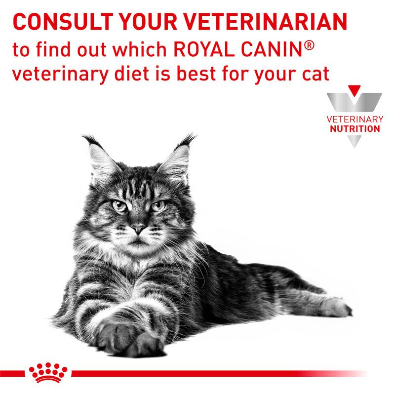 ROYAL CANIN® VETERINARY DIET Mobility Adult Dry Cat Food 2kg