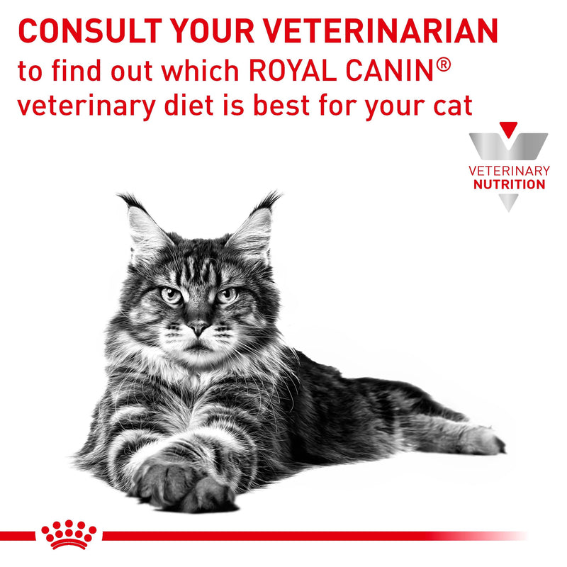 ROYAL CANIN® VETERINARY DIET Gastrointestinal Adult Dry Cat Food 2kg