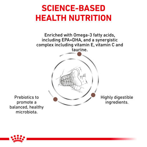 ROYAL CANIN® VETERINARY DIET Gastrointestinal Fibre Response Dry Cat Food 2kg