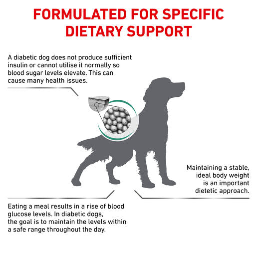 ROYAL CANIN® VETERINARY DIET Diabetic Adult Dry Dog Food