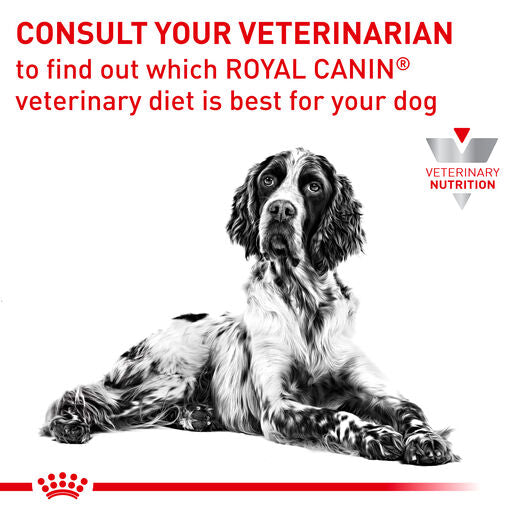 ROYAL CANIN® VETERINARY DIET Anallergenic Adult Dry Dog Food