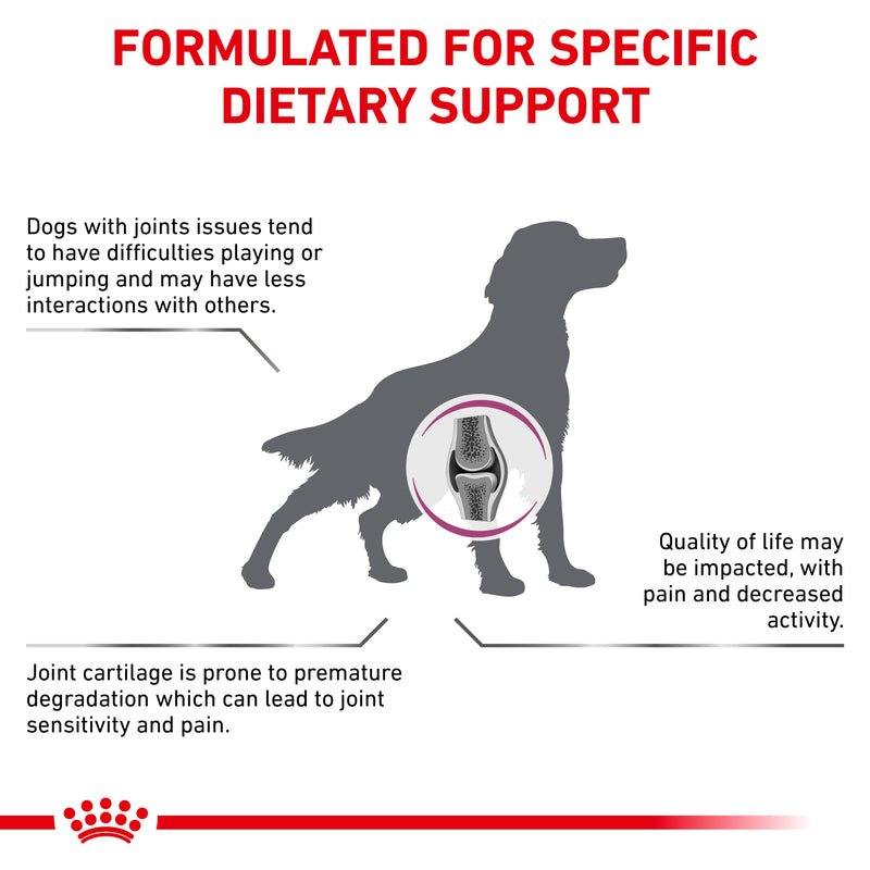 ROYAL CANIN® VETERINARY DIET Mobility C2P+ Adult Dry Dog Food