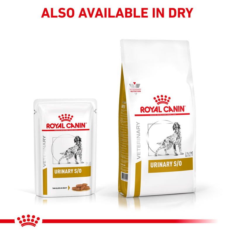 ROYAL CANIN® VETERINARY DIET Urinary S/O Adult Wet Dog Food Pouches 12 x 100g