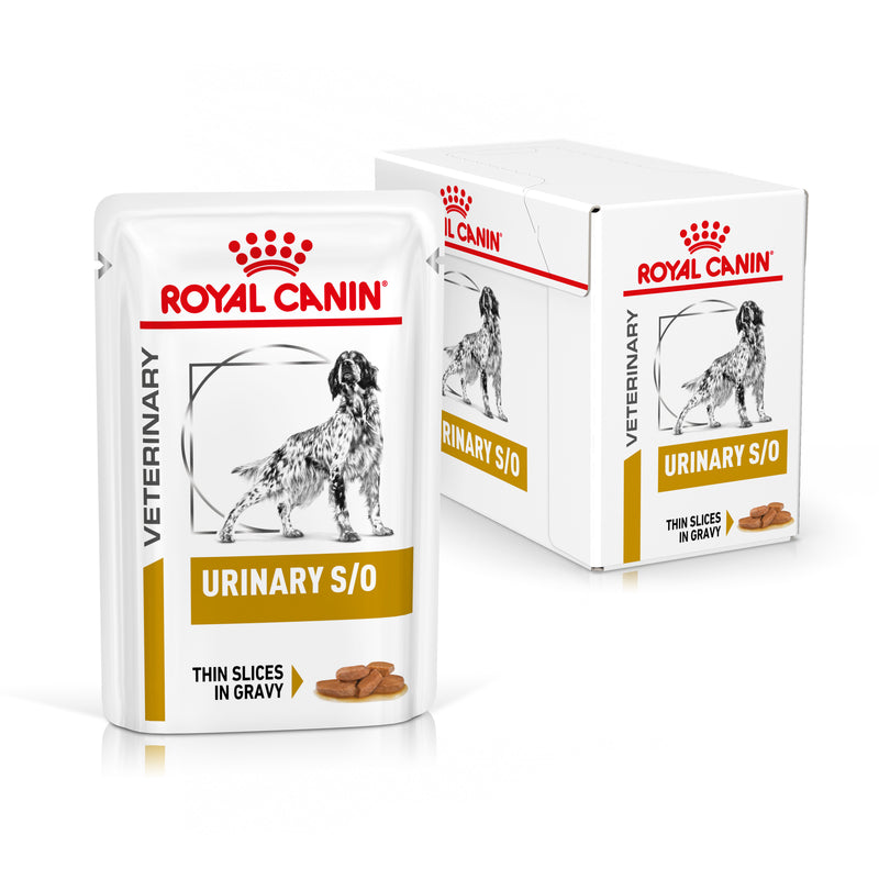 ROYAL CANIN® VETERINARY DIET Urinary S/O Adult Wet Dog Food Pouches 12 x 100g