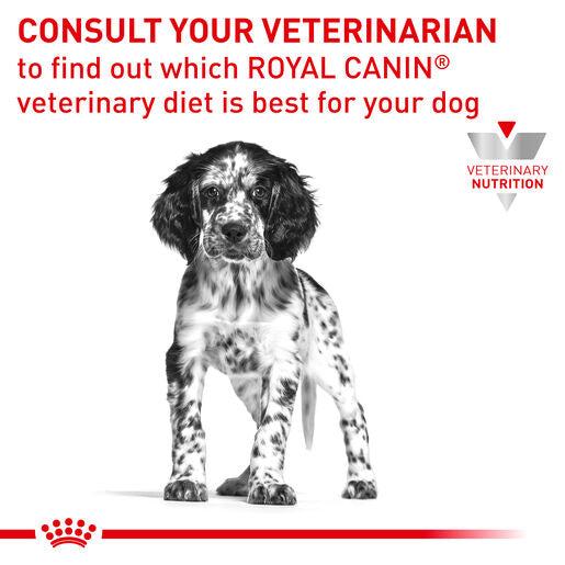 ROYAL CANIN® VETERINARY DIET Gastrointestinal Puppy Wet Dog Food Cans 12 x 195g
