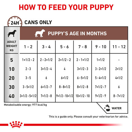 ROYAL CANIN® VETERINARY DIET Gastrointestinal Puppy Wet Dog Food Cans 12 x 195g