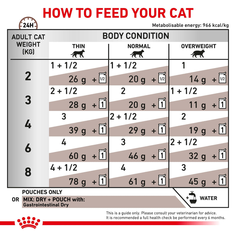 ROYAL CANIN® VETERINARY DIET Gastrointestinal Adult Wet Cat Food Pouches 12 x 85g