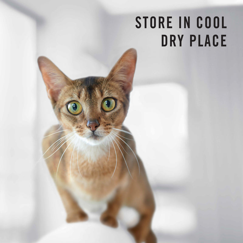 PRO PLAN Adult Chicken Formula Dry Cat Food