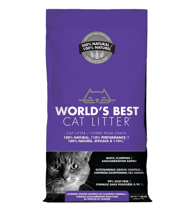 Best cheap outlet cat litter
