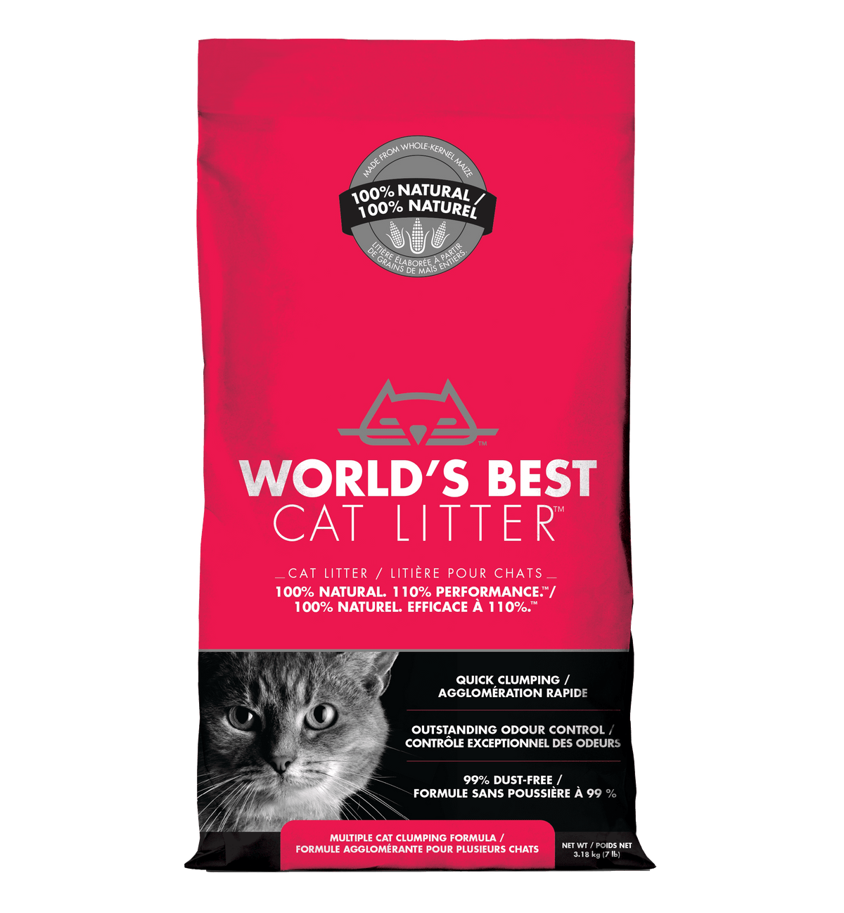Best inexpensive cat litter 2025
