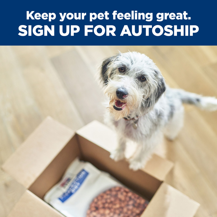 Science diet td small bites cheap