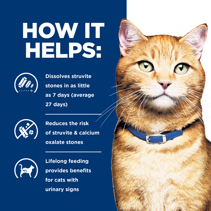 Hill's Prescription Diet c/d Multicare Urinary Care Feline 24 x 156g cans