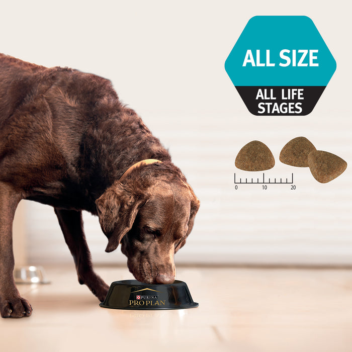 PRO PLAN Performance All Size All Life Stages Chicken Formula Chicken Formula Dry Dog Food
