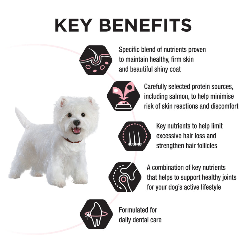 PRO PLAN Adult Small & Mini Sensitive Skin & Coat with OPTIDERMA Salmon Formula Dry Dog Food 2.5kg