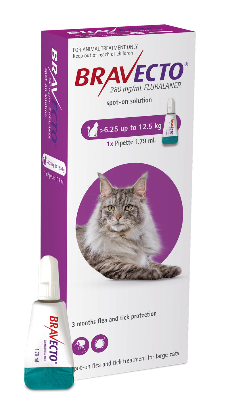 Bravecto Spot-On For Cats