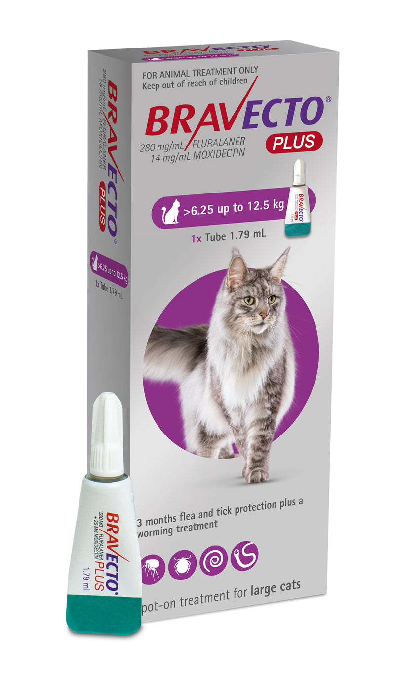Bravecto Plus Spot-On For Cats