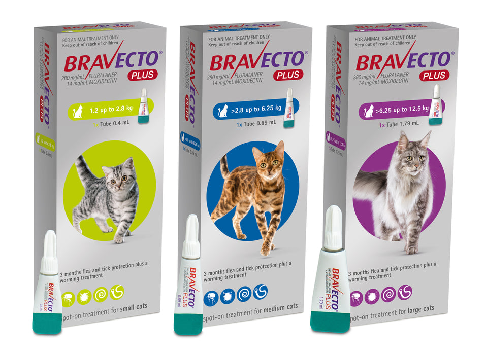 Bravecto Plus Spot-On For Cats