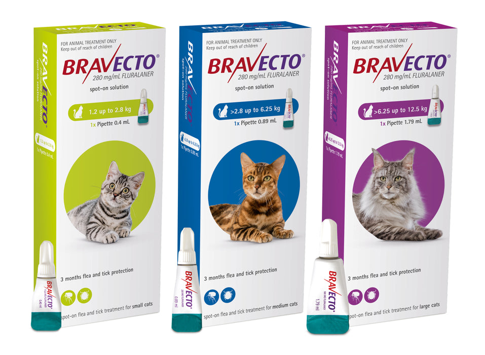 Bravecto Spot-On For Cats