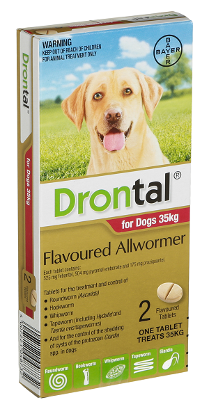 Cheapest drontal for 2024 dogs