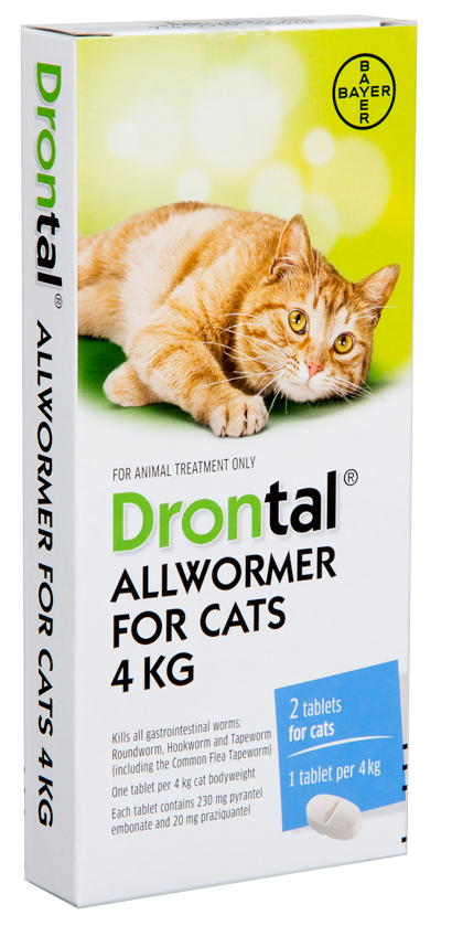 Drontal Worm Treatment For Cats