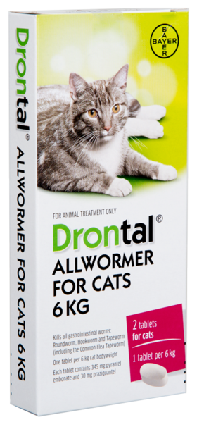 Drontal Worm Treatment For Cats
