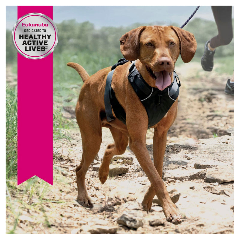 Eukanuba™ Exercise Adult Dry Dog Food 15kg