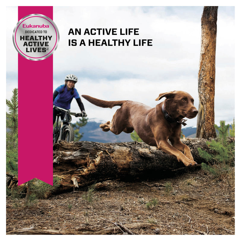 Eukanuba™ Large Breed Senior Adult Dry Dog Food 14kg