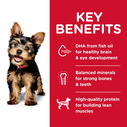 Hill's science diet top puppy small breed