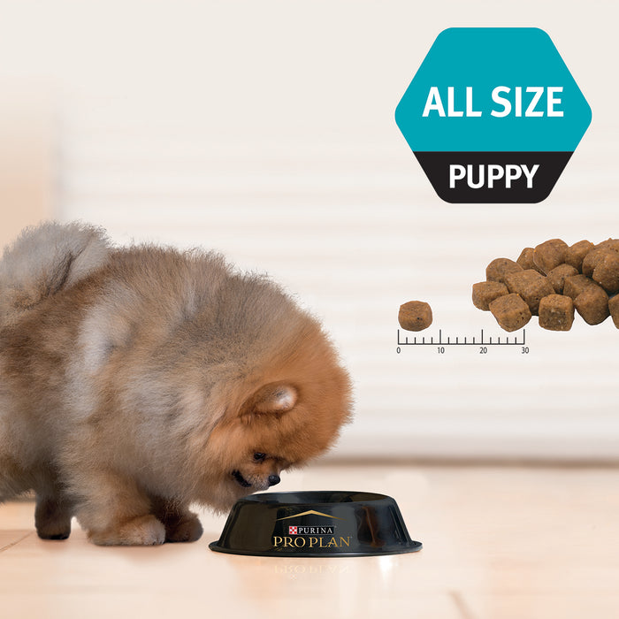 PRO PLAN Puppy All Size Sensitive Skin & Coat Salmon Formula Dry Dog Food 2.5kg