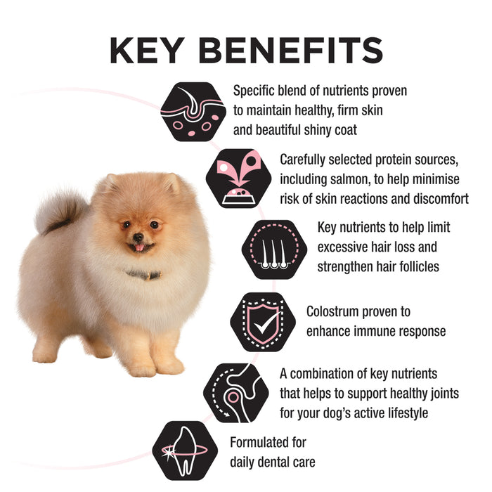 PRO PLAN Puppy All Size Sensitive Skin & Coat Salmon Formula Dry Dog Food 2.5kg