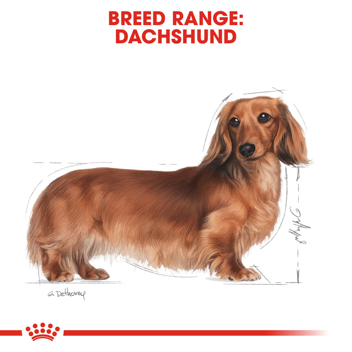 ROYAL CANIN® Dachshund Breed Adult Dry Dog Food 1.5kg