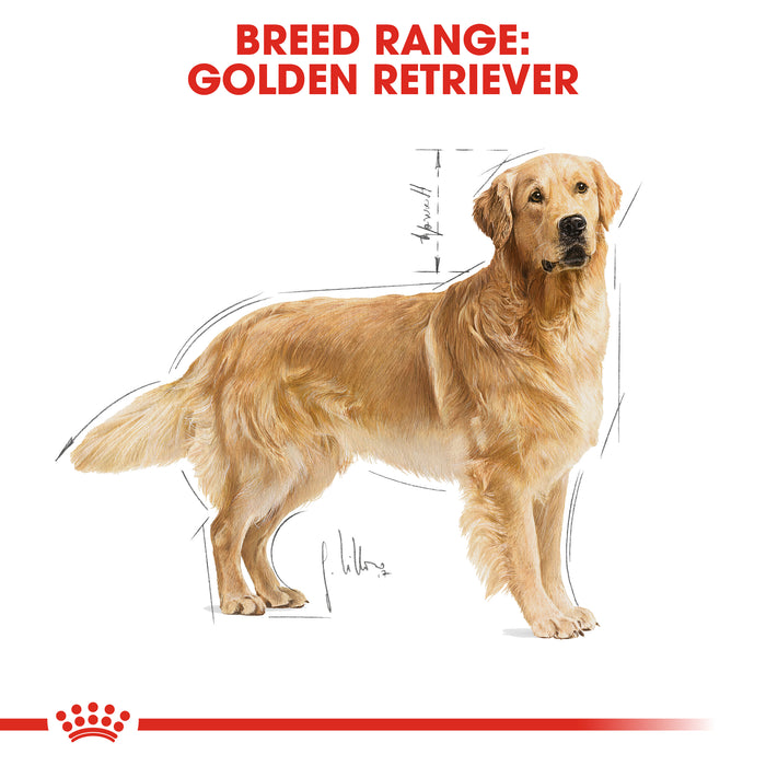 ROYAL CANIN® Golden Retriever Breed Adult Dry Dog Food 12kg