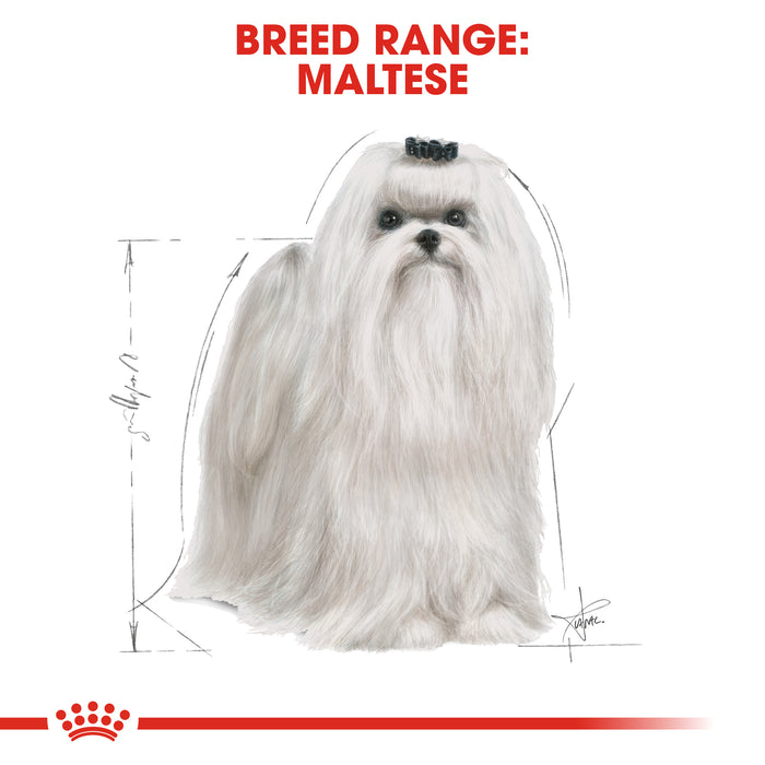 ROYAL CANIN® Maltese Breed Adult Dry Dog Food 1.5kg
