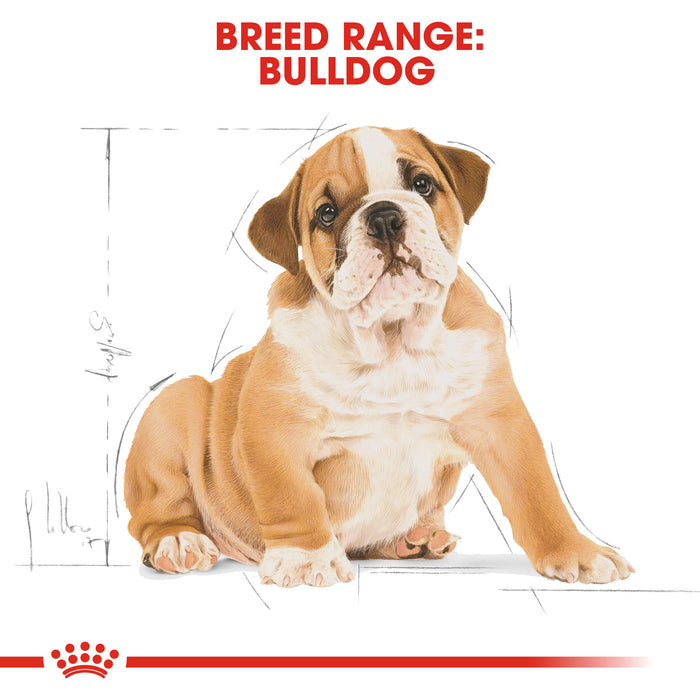 ROYAL CANIN® Bulldog Breed Puppy Dry Dog Food 12kg