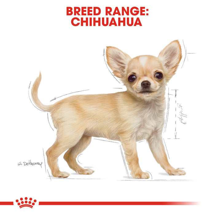 ROYAL CANIN® Chihuahua Breed Puppy Dry Dog Food 1.5kg