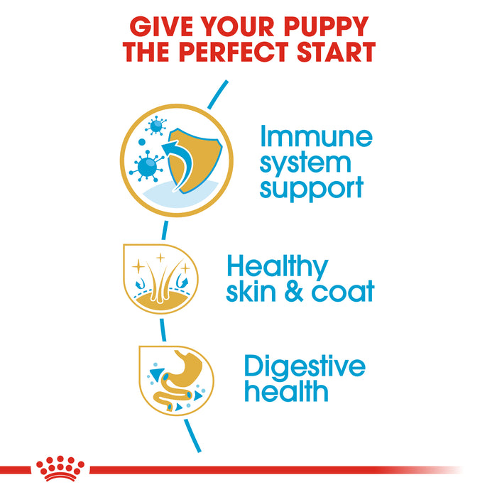 ROYAL CANIN® Golden Retriever Breed Puppy Dry Dog Food 12kg