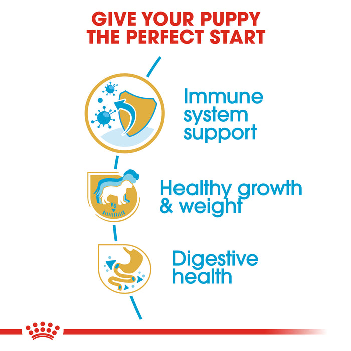 ROYAL CANIN® Labrador Breed Puppy Dry Dog Food  12kg