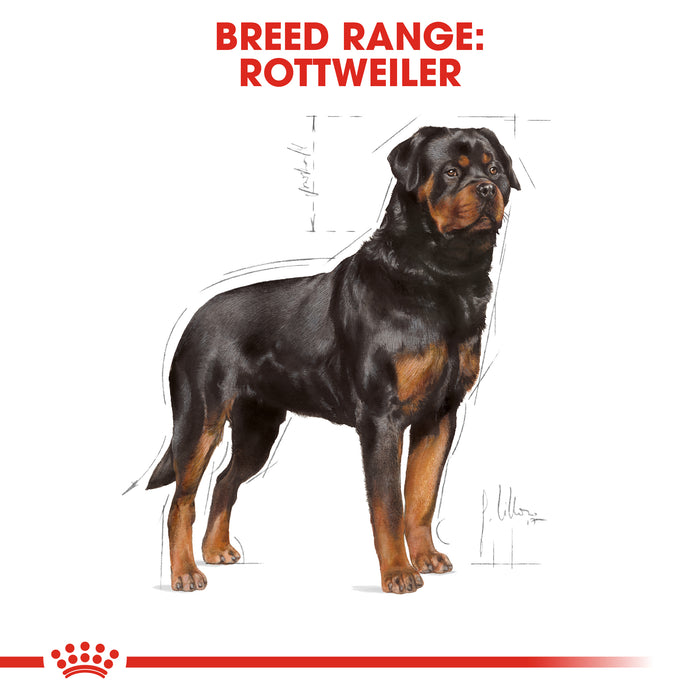 ROYAL CANIN® Rottweiler Breed Adult Dry Dog Food 12kg