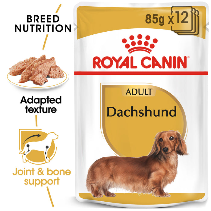 ROYAL CANIN® Dachshund Breed Adult Wet Dog Food Pouches 12 x 85g
